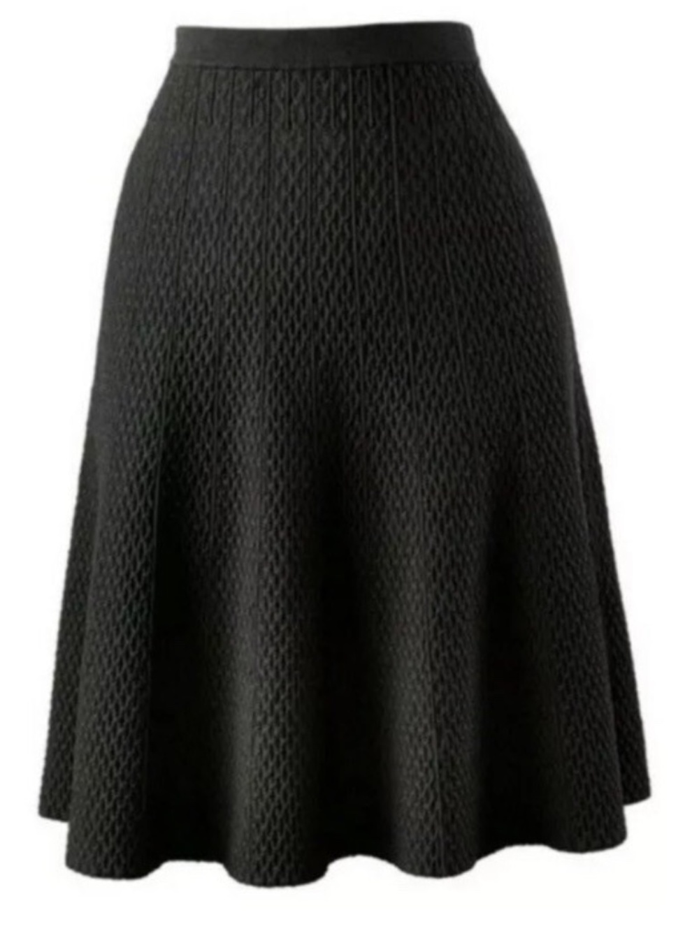 CAbi Style #214 Black Textured Amelie A-line Skirt